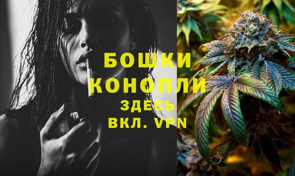 ГАЛЛЮЦИНОГЕННЫЕ ГРИБЫ Няндома