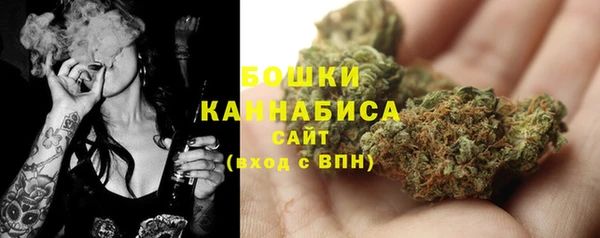 СК Осташков
