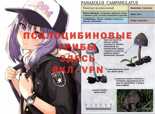 гашишное масло Осинники