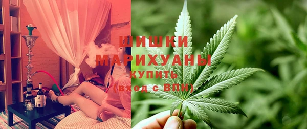 ГАЛЛЮЦИНОГЕННЫЕ ГРИБЫ Няндома