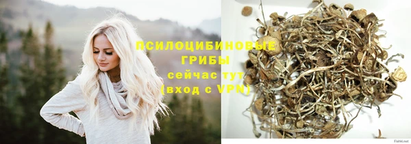 Альфа ПВП Нязепетровск