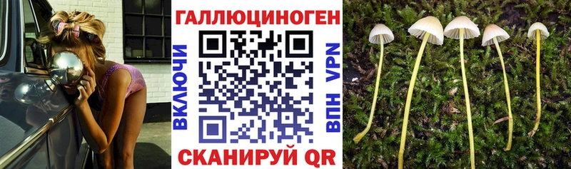 Псилоцибиновые грибы Magic Shrooms  где продают   Кыштым 