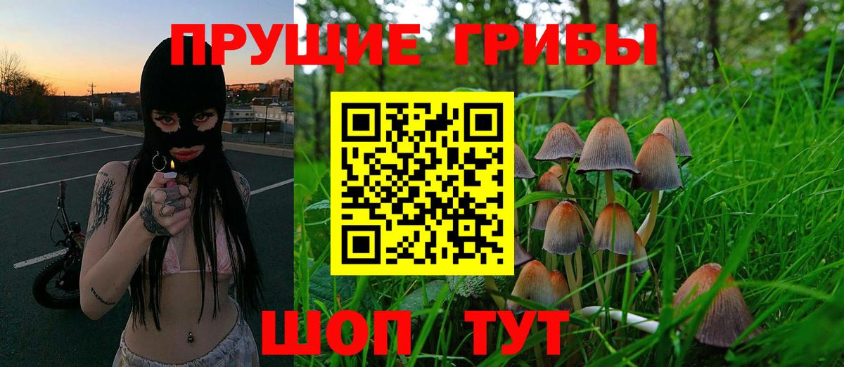 Галлюциногенные грибы Psilocybine cubensis Кыштым