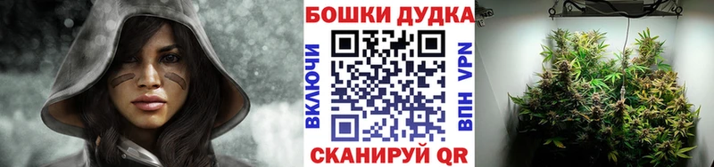 Шишки марихуана марихуана Кыштым